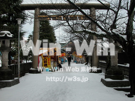 正月の写真素材 W-010798