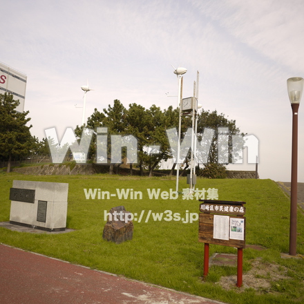 浮島町公園の写真素材 W-011794