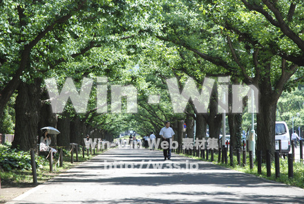 東京の写真素材 W-010612