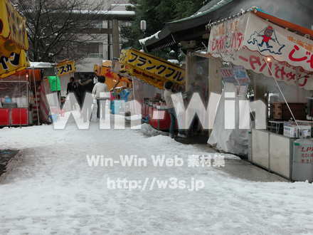 正月の写真素材 W-010796