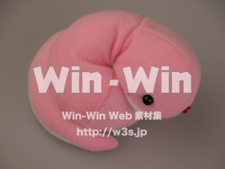 正月の写真素材 W-010789