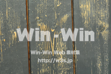 木の表情の写真素材 W-010855