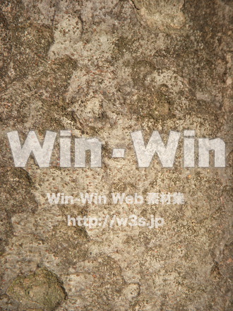 木の表面の写真素材 W-011796