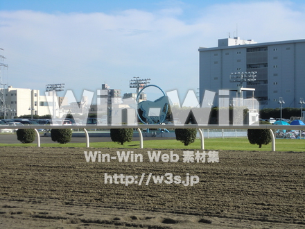 川崎競馬場の写真素材 W-010974