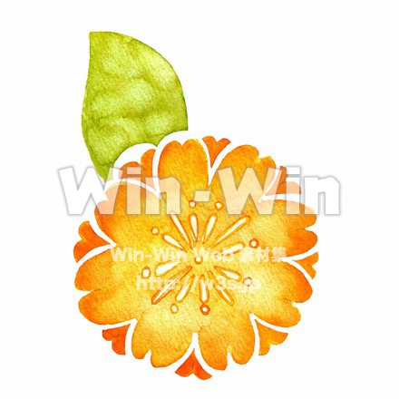 花のCG・イラスト素材 W-011046