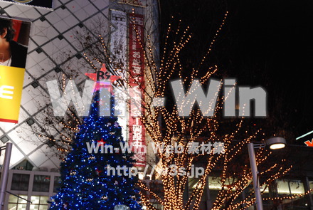 クリスマスの写真素材 W-010781