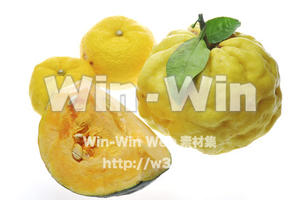 柚子の写真素材 W-011664