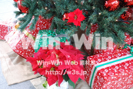 クリスマスの写真素材 W-010777