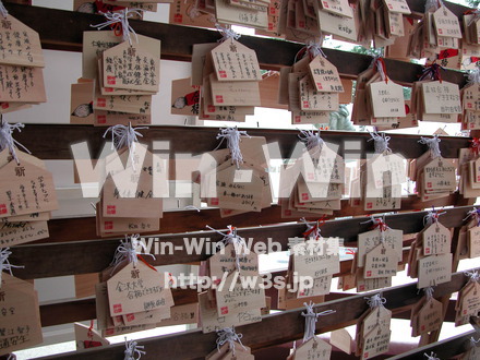 正月の写真素材 W-010794