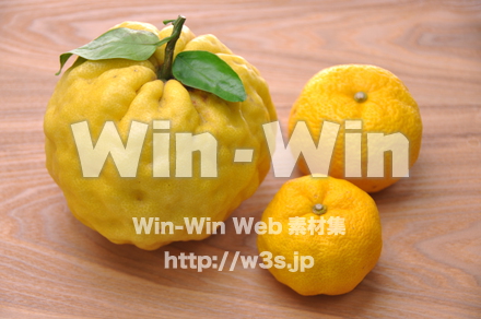 柚子の写真素材 W-011661