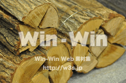 葉っぱの写真素材 W-010198