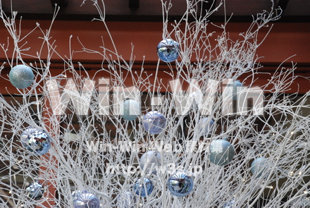 クリスマスの写真素材 W-010783