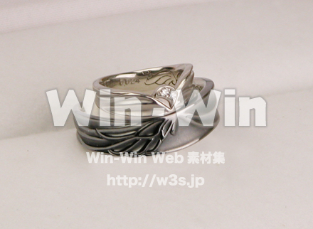 ウェディングの写真素材 W-010767