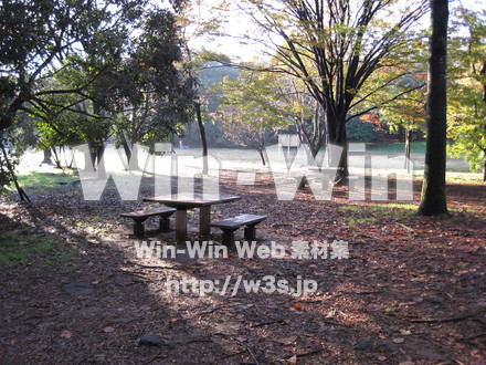 水沢の森の写真素材 W-012552