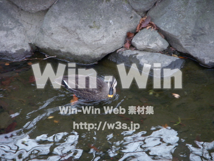 平和記念公園　18の写真素材 W-012734