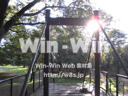 水沢の森の写真素材 W-012528