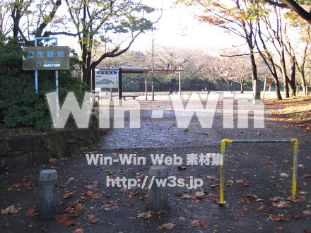 水沢の森の写真素材 W-012539