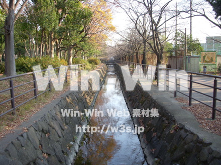 平和記念公園　34の写真素材 W-012750