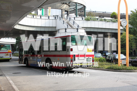 ノクティ界隈の写真素材 W-013574