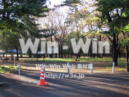 水沢の森の写真素材 W-012526