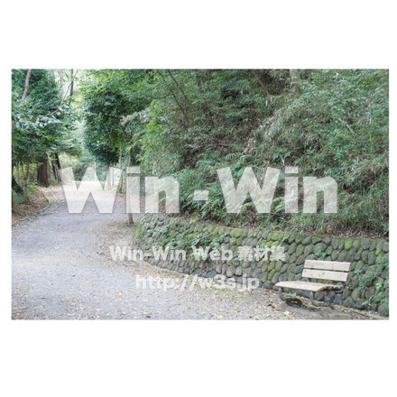 生田緑地　道１の写真素材 W-013282