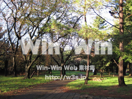 水沢の森の写真素材 W-012543