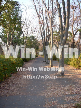 平和記念公園　6の写真素材 W-012722