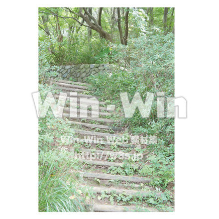 生田緑地　階段１の写真素材 W-013276