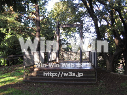 水沢の森の写真素材 W-012529