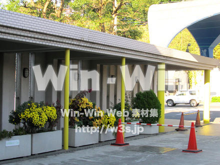 ヨネッティ-　王禅寺の写真素材 W-013323