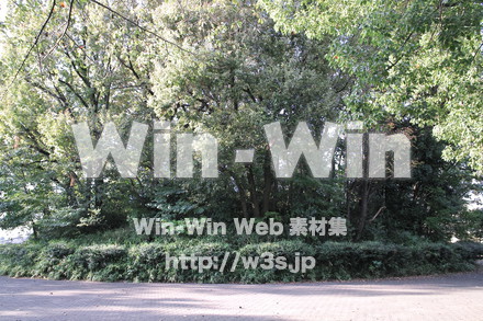 西福寺古墳の写真素材 W-013223