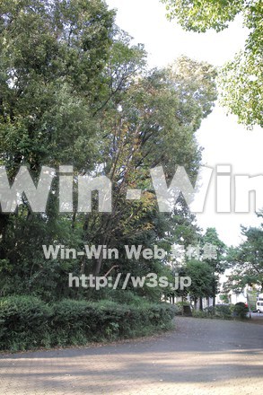 西福寺古墳の写真素材 W-013228