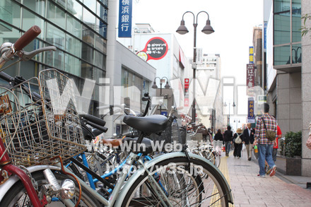 ノクティ界隈の写真素材 W-013575