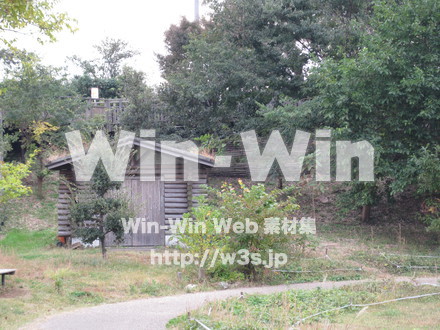 水沢の森の写真素材 W-012547