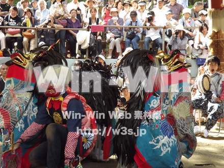 菅の獅子舞の写真素材 W-013268