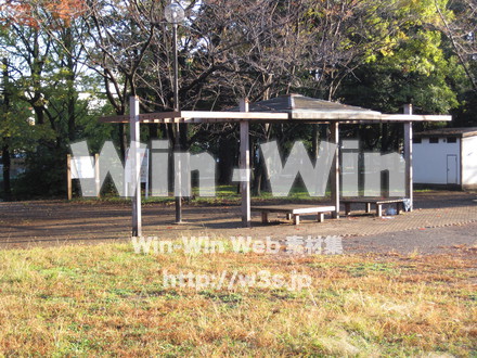 水沢の森の写真素材 W-012540