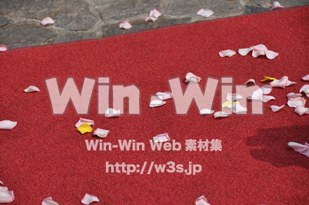 結婚式の写真素材 W-012704