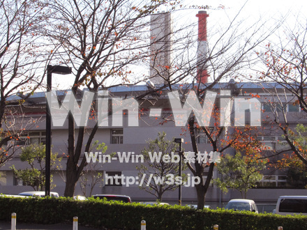 ヨネッティ-王禅寺の写真素材 W-013296