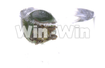 worterの写真素材 W-012492