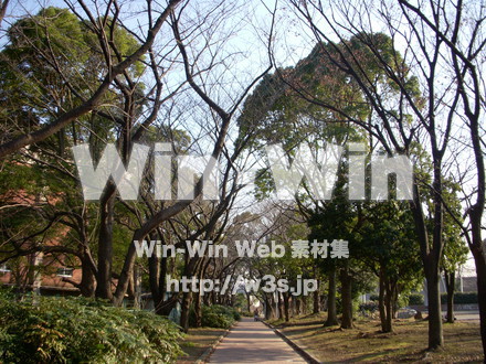 平和記念公園　54の写真素材 W-012770