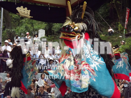 菅の獅子舞の写真素材 W-013263