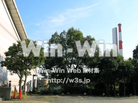 ヨネッティ-王禅寺の写真素材 W-013287