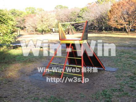 水沢の森の写真素材 W-012534