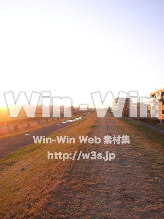 多摩川河原の写真素材 W-013563