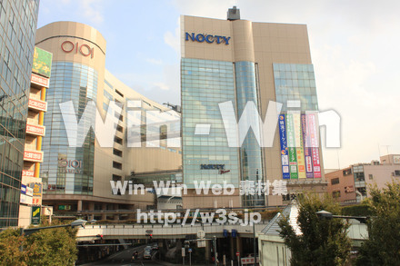 ノクティ界隈の写真素材 W-013580