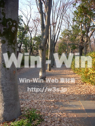 平和記念公園　7の写真素材 W-012723