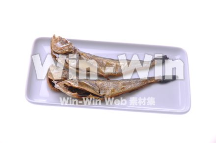 はたはたの写真素材 W-012993