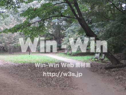 水沢の森の写真素材 W-012524