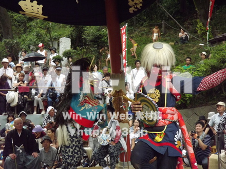 菅の獅子舞の写真素材 W-013264