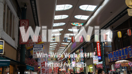 阿波踊りの写真素材 W-012107